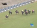 [競馬] フサイチリシャール - 萩ステークス[2005.10.29]
