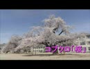 口笛：「桜（コブクロ）」を演奏してみた