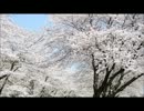 【ＢＧＭ】花舞いし道【Ｗ・Ｇ】