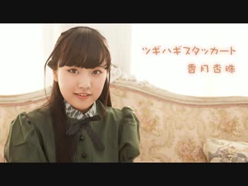 【香月杏珠】ツギハギスタッカート【踊ってみた】