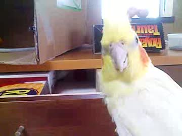 保護して３年が過ぎました