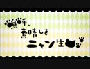 【（赤月×るの）】嗚呼、素晴らしきニャン生【歌ってみた】