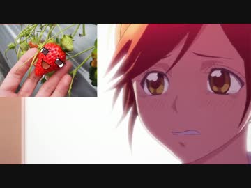 【ニコツー】イチゴ狩りツーリングに行ってきた【2016】