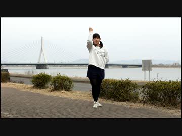 【踊ってみた】 Calc. 【３０(みーれぃ)】