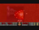 ゆっくりが往く～DOOM_EP2：難易度UV～Part6