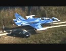 個人が所有する謎の飛行機、エバーグレーズに緊急着陸(米 03/16)