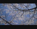 A Blue Sky