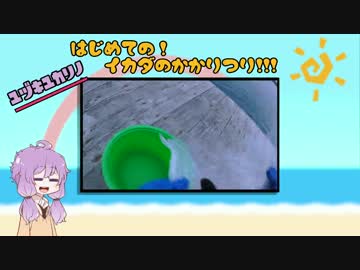 【結月ゆかり】釣り娯楽! ♯後編 【はじめてのかかり釣り】