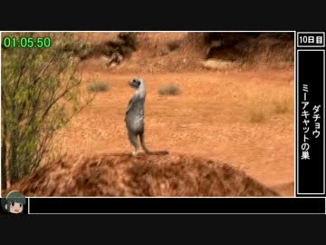 【RTA】AFRIKA 6:18:09 （3/11）