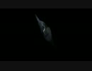 [実況]満月の夜に呪いを　Part5[狂い月]