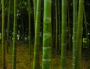 【ピアノソロ】 いにしえバンブー　～がんばれゴエモン