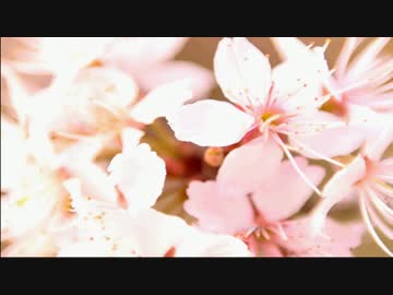 【春ニカ祭2016】inspire【NNI】