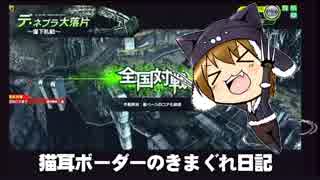 【デネブラH】新 猫耳ボーダーの気まぐれ日記：その89【A1】