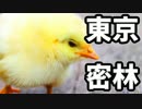 東京で弱肉強食トーキョージャングル実況プレイ【14】