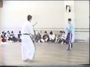 太気拳　佐藤聖二先生