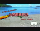 【ゆっくり】小笠原旅行記 Part41(前編) ～父島編～ シーカヤックその2