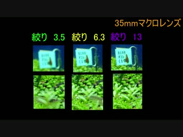 【水槽110】GH４で撮るアクアリウム①「ボケ」