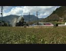 「大川鉄道SLフェスタ2016」蒸気機関車重連