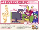 【非公式ぷよぷよバラエティ】ぷよっとじっけんしつ！【第14回:Re1/2】