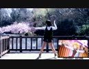 【反転】イロヅクネガイ 踊ってみた【WhiteCat】