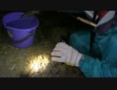 タコを捕獲してタコ焼きを作りたい【夜の潮干狩り】