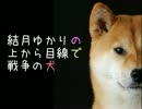 【RWR】結月ゆかりの上から目線で戦争の犬 1-2【VOICEROID＋】