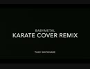 BABYMETAL KARATE COVER Remix Version