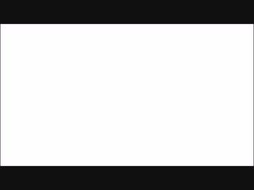 【チンアナゴLP】　チンアナゴの函