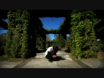 【踊ってみた】 マッシュルームマザー 【ヒロ】