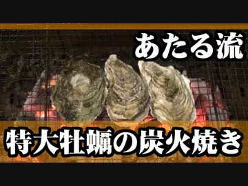 特大の牡蠣を炭火でプリプリに焼き上げるよ。