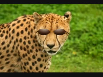 三人の変態糞おじさん