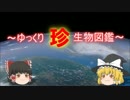 ～ゆっくり　珍　生物図鑑～　新・第28回