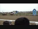 祝！　藤田菜七子騎手、浦和競馬で２勝目！！