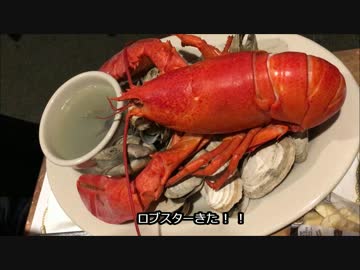 アメリカの食卓 564 人生最高のメインロブスターを食す！