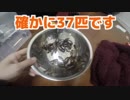 ホモと学ぶ生きたゴキブリの食べ方