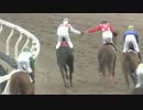 3/24浦和競馬第3レースで完全勝利した藤田菜七子UC