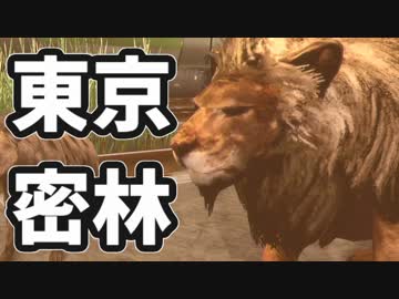 東京で弱肉強食トーキョージャングル実況プレイ【15】