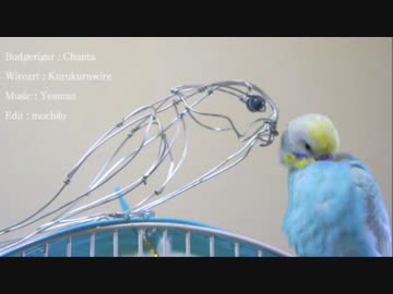 インコの曲とワイヤーアート作ってもらった