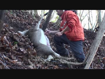 三年目狩猟生活（その６０）