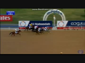 2016 UAEダービー（GⅡ） ラニ号優勝