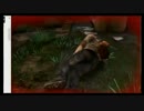 ちゃんみわ The Last of Us 2016/03/23 3枠目