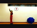 【刀剣乱舞】drop pop candy【踊ってみた】