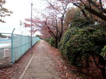 春とはいえまだ肌寒し