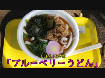 珍食珍道中　12品目　まほろばの里「ブルーベリーうどん」