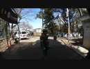 フォレストユニオン スパイ戦