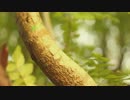 Firewoodisland - Simon 【PV】