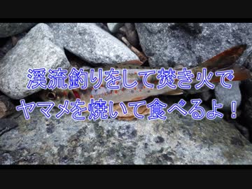 渓流釣りをして焚き火でヤマメを焼いて食べるよ！