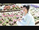 【ぴょあ】ハルイチ。踊ってみた【forにゃら】