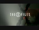 The ほの Files