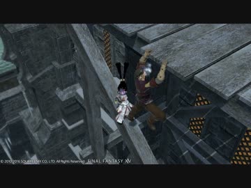 【FF14】イシュガルド：下層とファルコンネストの落ちそうな人